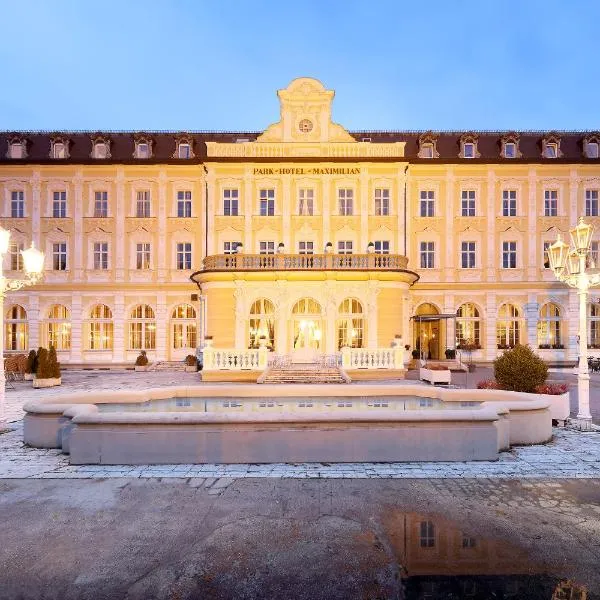 麦克斯米兰欧洲之星公园酒店，位于Obertraubling的酒店
