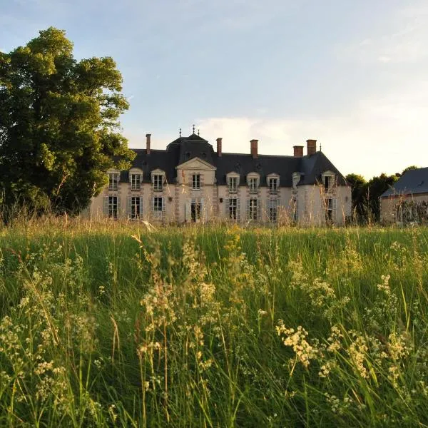 Chateau La Touanne Loire valley，位于Prénouvellon的酒店