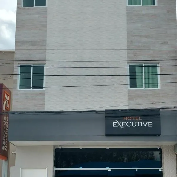 Hotel Executive，位于德尔米鲁戈韦亚的酒店