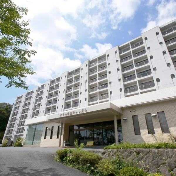雾岛城堡饭店，位于Kobayashi的酒店