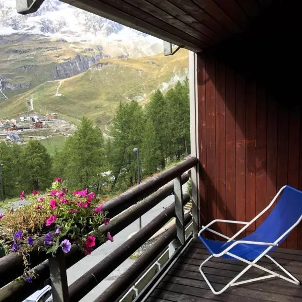 CERVINIA - Appartamento direttamente sulle piste, vista unica sul Cervino，位于布勒伊-切尔维尼亚的酒店