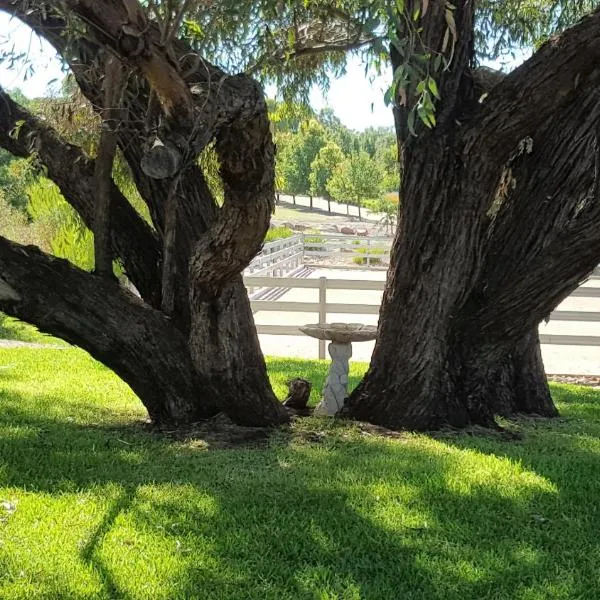 Equestrian Farm Stay，位于One Tree Hill的酒店