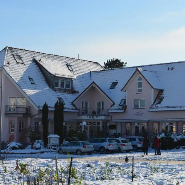 山庄酒店及餐厅，位于莱因斯韦勒的酒店