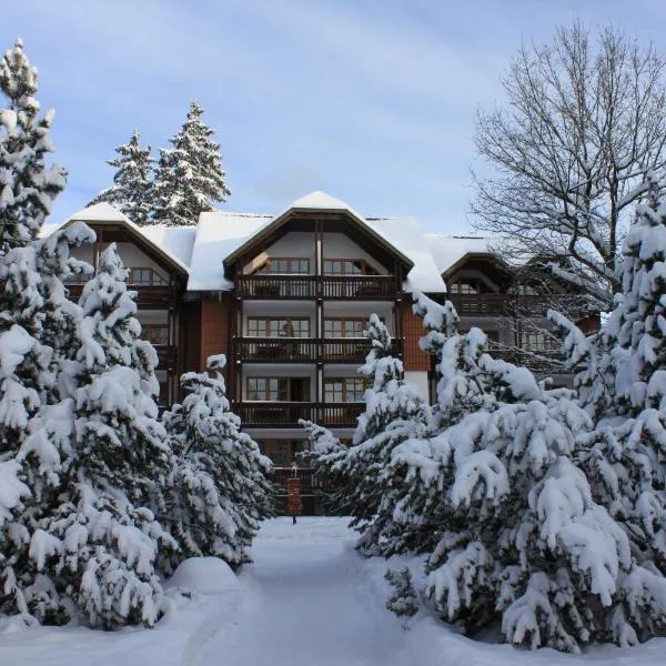 Hapimag Ferienwohnungen Braunlage，位于布劳恩拉格的酒店