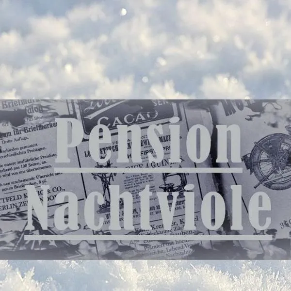 Pension Nachtviole，位于维尔芬翁的酒店