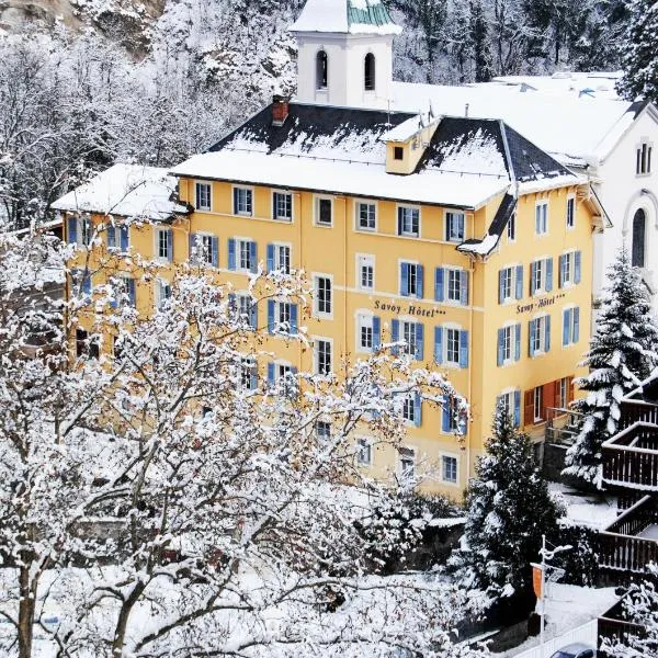 Savoy Hôtel，位于Aigueblanche的酒店