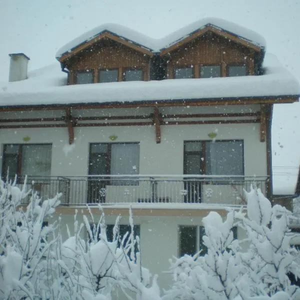 Guest House Garbevi，位于多布里尼什特的酒店