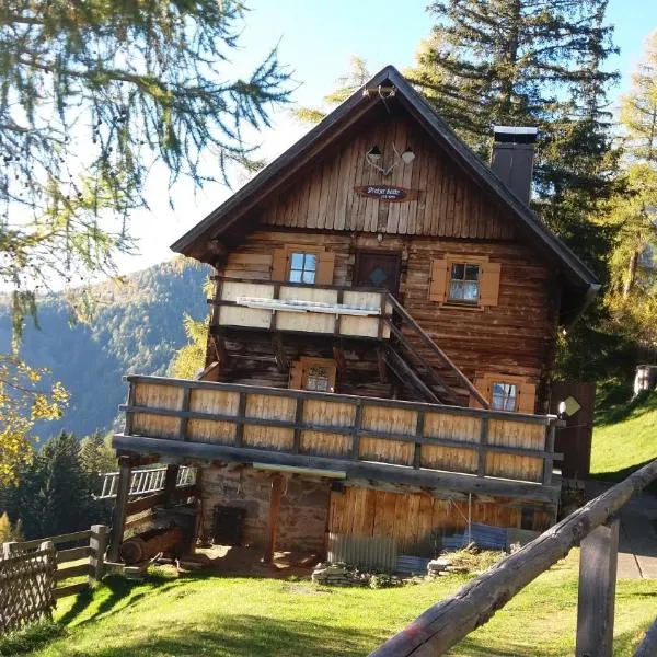 Platzerhütte，位于Kolbnitz的酒店