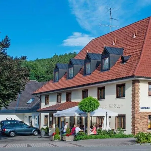 祖姆鲁斯勒酒店，位于Regglisweiler的酒店