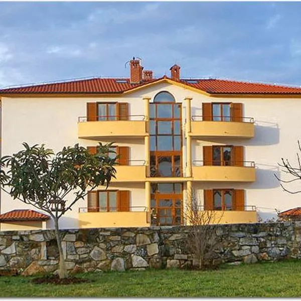 Apartments Ana Wellness S，位于罗维尼的酒店