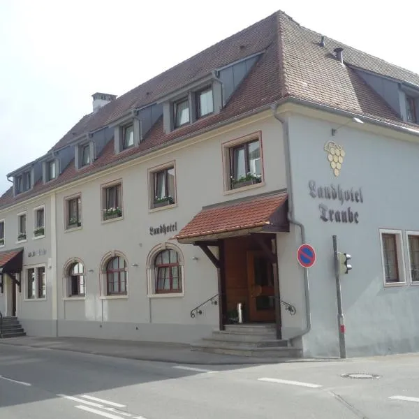 Landhotel Traube，位于康斯坦茨的酒店