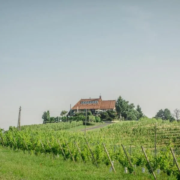 Taverna & Wine Jeruzalem，位于Ivanjkovci的酒店
