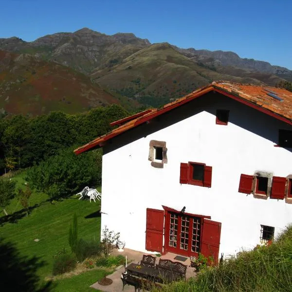 Chambres d'hôtes Idiartekoborda，位于Banca的酒店