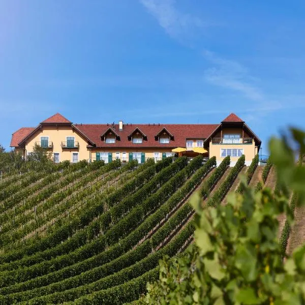 Hotel Garni Schöne Aussichten，位于Oberpurkla的酒店