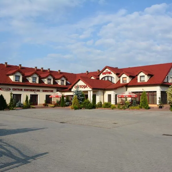 Hotel Ostoja，位于Łużna的酒店