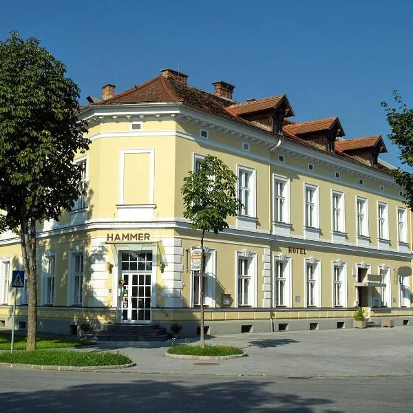 Hotel Hammer，位于Gutenberg an der Raabklamm的酒店