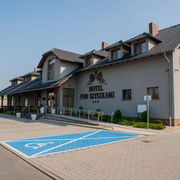 Hotel Pod Szyszkami，位于Borek Wielkopolski的酒店