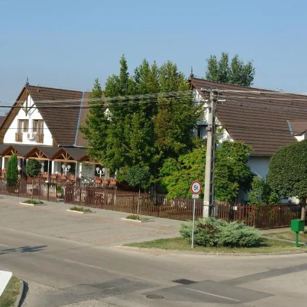 Koller Panzió，位于Szárász的酒店
