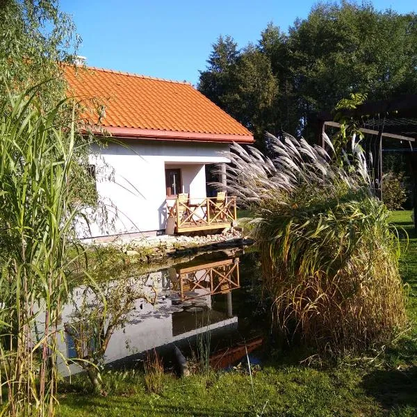 Karolówka，位于Horyniec Zdrój的酒店