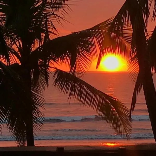 Gallina E Palo Beachfront Hotel，位于雅科的酒店