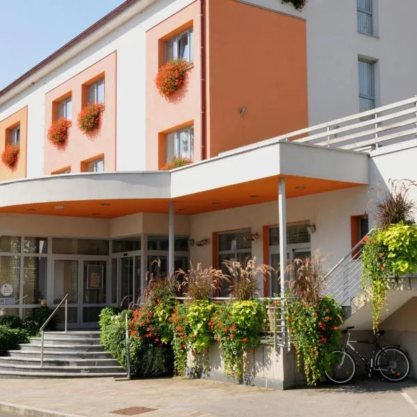 贝拉克拉伊纳酒店，位于Gorenjcj的酒店