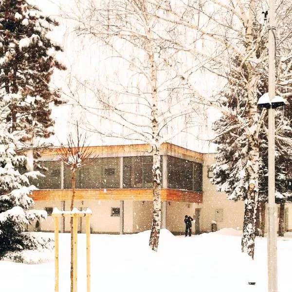 格林别墅酒店，位于斯利亚奇的酒店