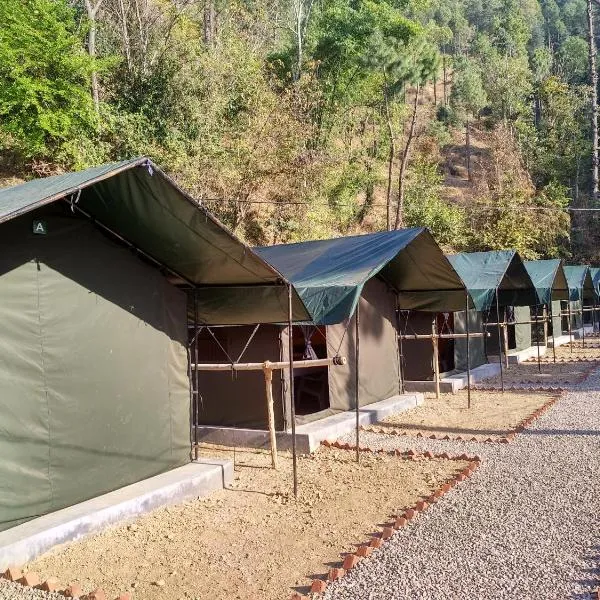 丛林住宿豪华帐篷，位于柴尔的酒店