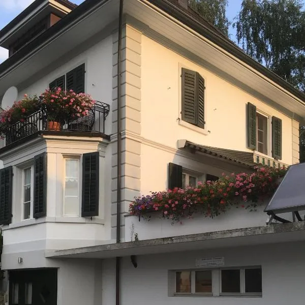 思迪尼曼宾馆，位于Merenschwand的酒店