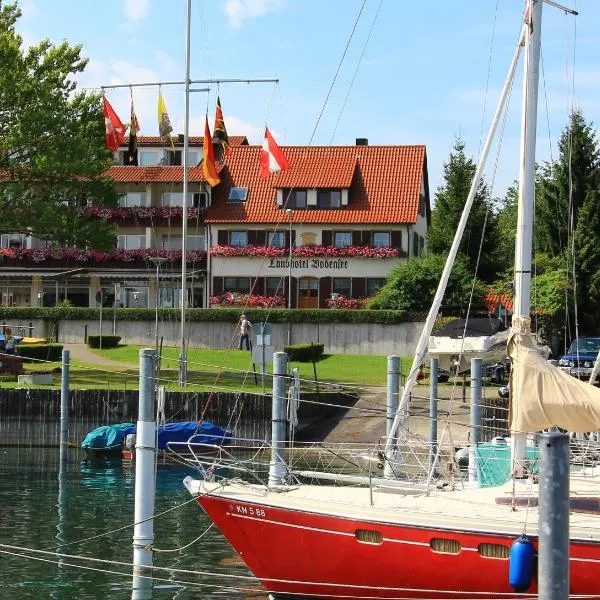 博登湖兰德酒店，位于Billafingen的酒店