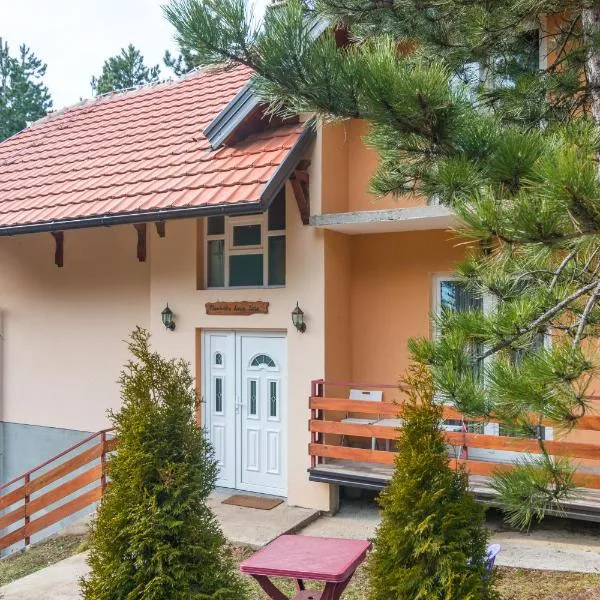 Mountain House Tara Apartmani Nikolic，位于卡鲁德杰尔斯科巴尔的酒店