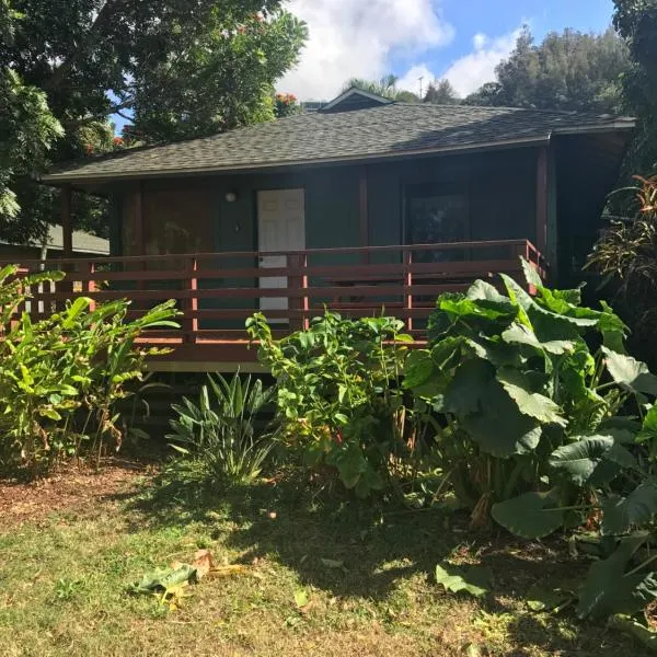 背包客度假客栈和植物村，位于哈莱伊瓦的酒店