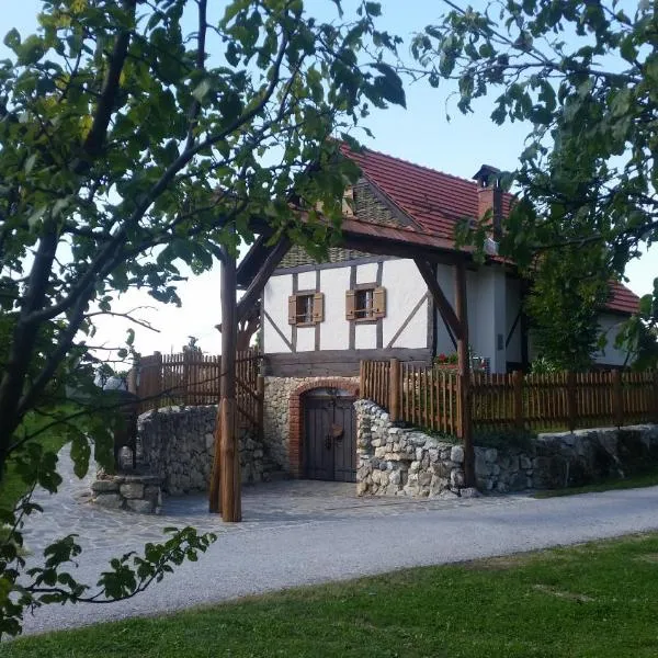 Domus Antiqua，位于Veliki Lovrečan的酒店