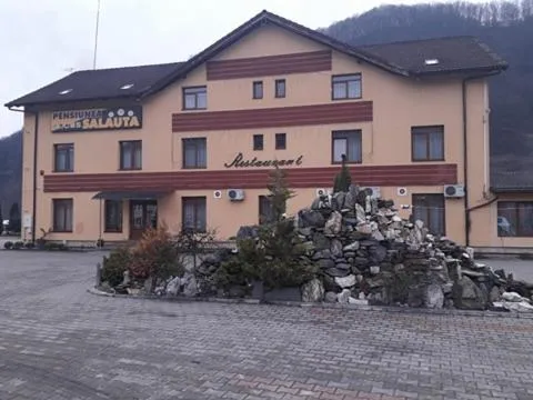 萨拉塔旅馆，位于Runcu Salvei的酒店