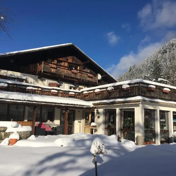 Chalet l'Aiglon，位于夏蒙尼-勃朗峰的酒店