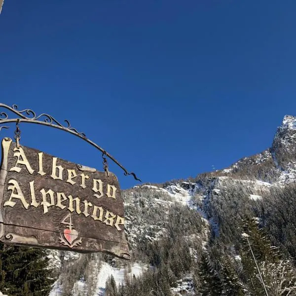Albergo Alpenrose Ski&Bike Mountain Hotel，位于格雷索圣尚的酒店