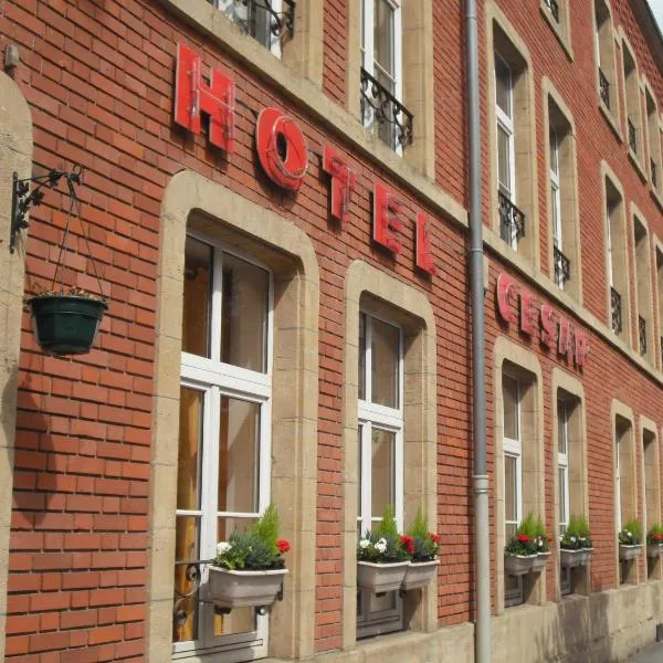 塞萨尔酒店，位于Champigneul-sur-Vence的酒店