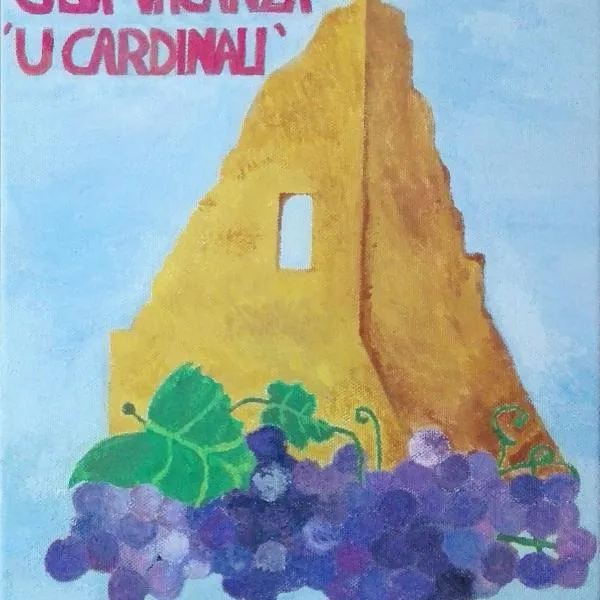 Casa vacanza "U cardinali"，位于帕基诺的酒店