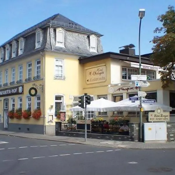 博格酒店，位于Schoneck的酒店