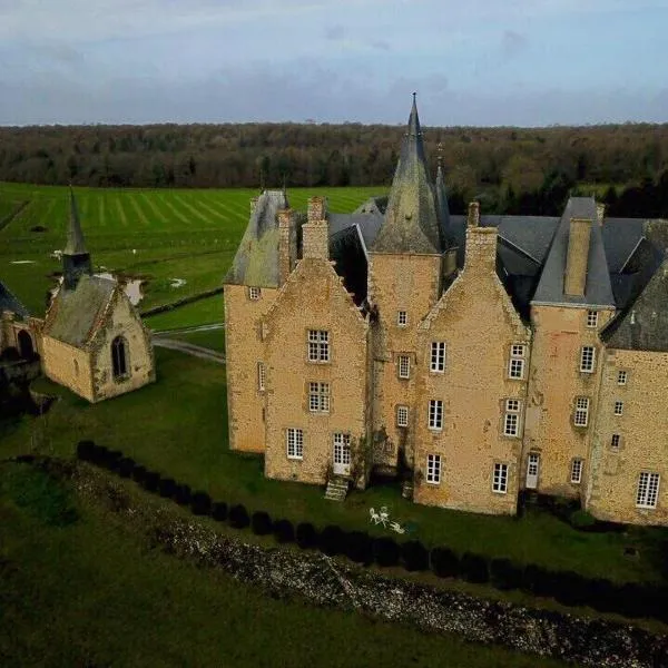 Chateau de Bourgon，位于Saint-Baudelle的酒店