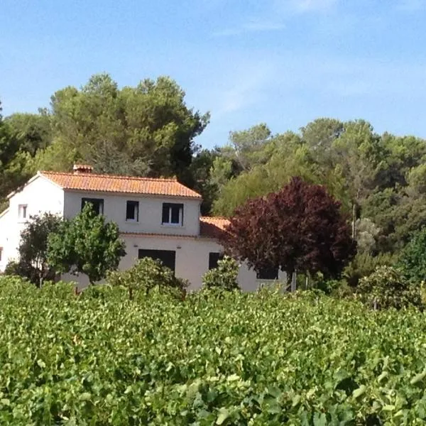 Maison Loubiere，位于博尔马斯·莱斯·米默萨斯的酒店