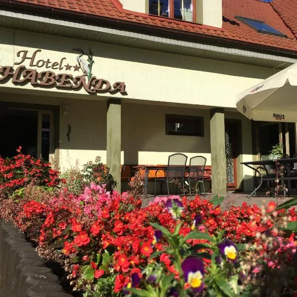 Hotel Habenda，位于Zyzdrojowy Piecek的酒店