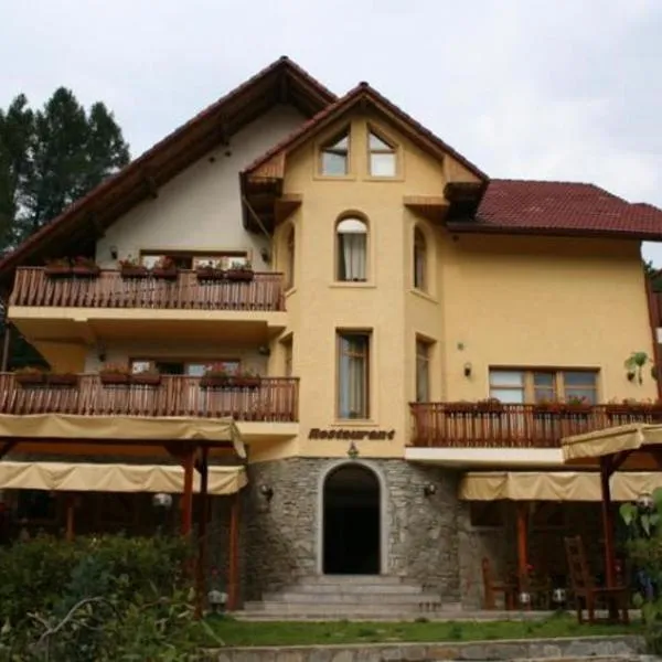 Vila Iulia，位于瓦特拉多尔内的酒店