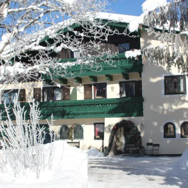 Mühlradl Apartments Gosau，位于格绍的酒店