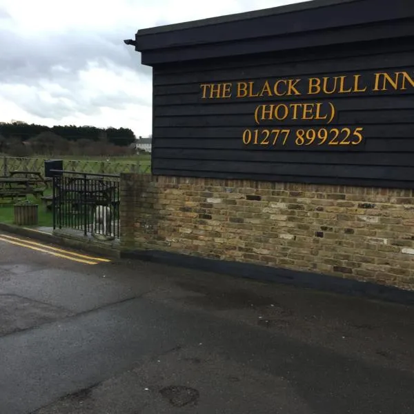 The Black Bull Inn，位于Fyfield的酒店