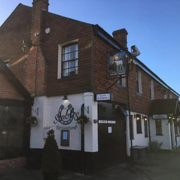 The White Hart pub and rooms，位于Holmbury Saint Mary的酒店