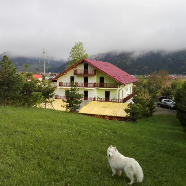 Grandemi Belvedere Bucovina，位于Frasin的酒店