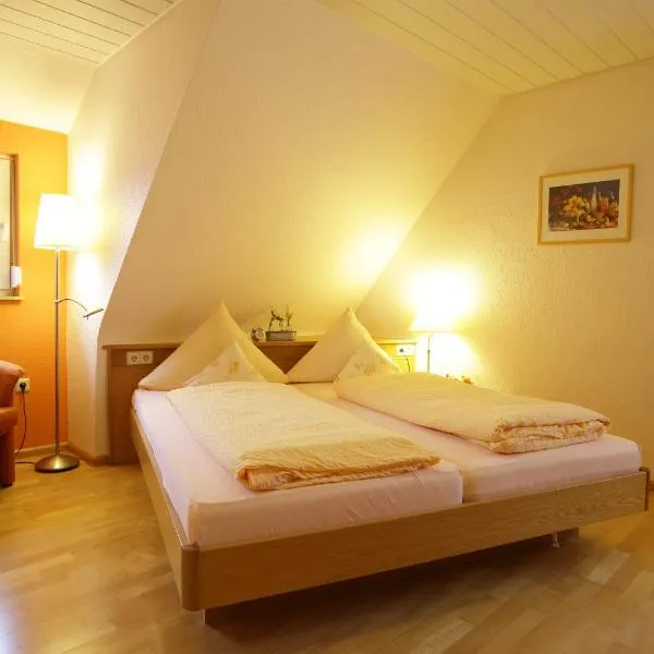 Hotel-Restaurant Gasthof Adler，位于莱茵河畔的纳沙泰尔的酒店
