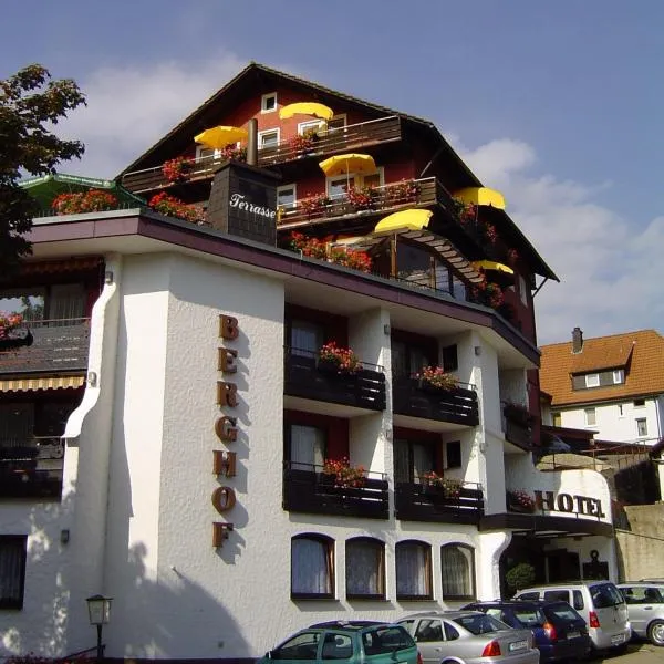 Panoramahotel Berghof，位于拜尔斯布龙的酒店
