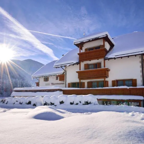 梅斯内维特酒店，位于安泰塞尔瓦·迪·梅佐的酒店