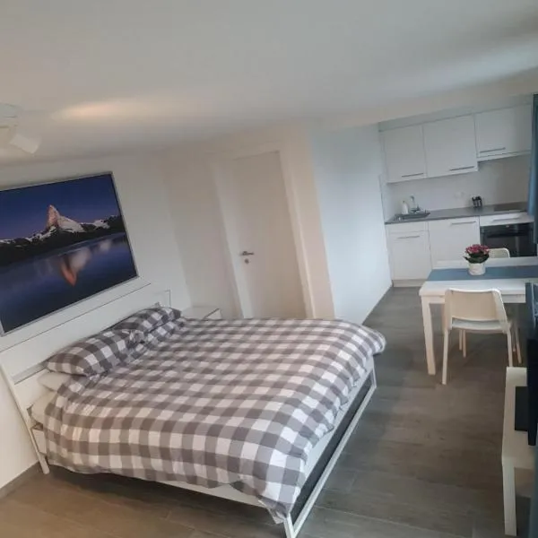 Lake View Private Studio，位于Richterswil的酒店